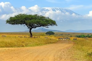 KENYA si TANZANIA 2027