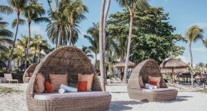 Ambre Mauritius