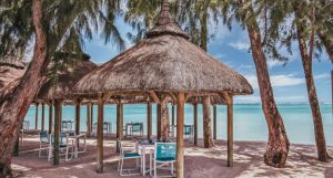 Ambre Mauritius