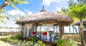 Ambre Mauritius