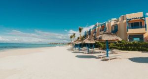 SALT of Palmar