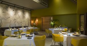 The Bay Club at Anahita