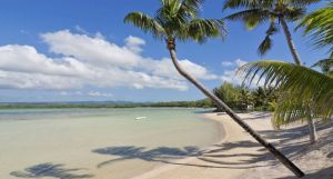 Jalsa Beach Hotel & Spa