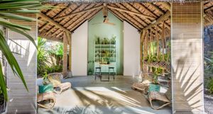 Tropical Attitude
