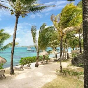 Tropical Attitude