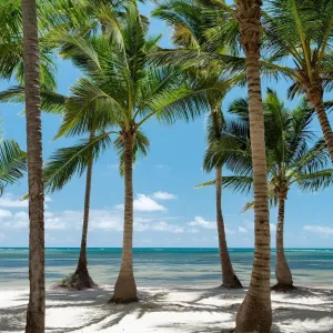 Catalonia Royal Bavaro