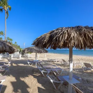 Whala!Bavaro