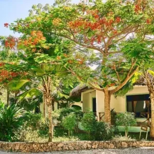 Spice Island Resort