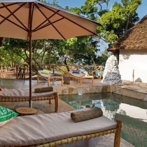 The Island Pongwe Lodge