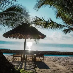 Jaz Adonia Beach Resort