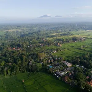 Kappa Senses Ubud