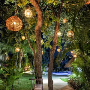 Viva Wyndham Maya
