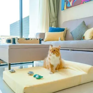 Cassia Phuket