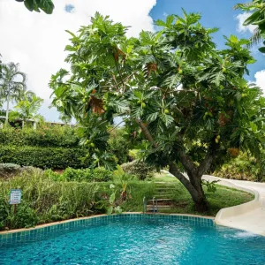 Barcelo Coconut Island