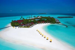 Dhigufaru Island Resort - Raa Atoll