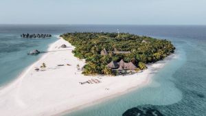 Coco Palm Dhuni Kolhu Resort - Baa Atoll