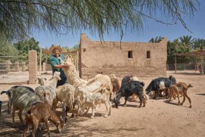 Hotel Mandarin Oriental Marrakech