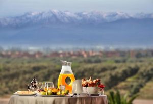 Sofitel Marrakech Lounge and Spa