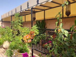 Riad Miral