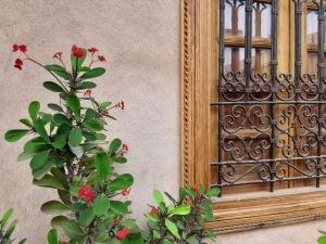 Riad Miral