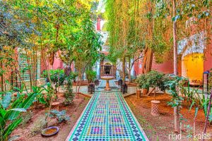 Riad Kaiss