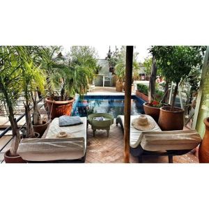 Riad Moullaoud