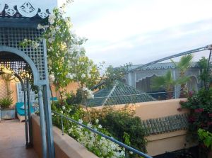 Riad Armelle