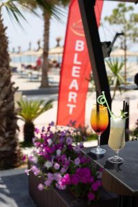 Hotel Bleart