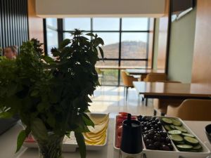 Hotel Inada