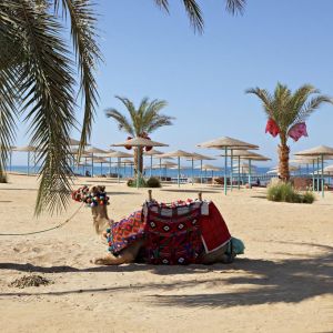 Three Corners Sunny Beach Resort