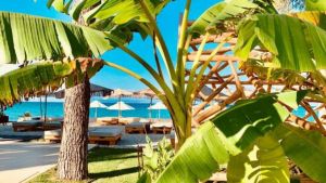 MAKO Sea & Suites