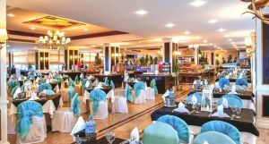 Gypsophila Club Marine