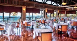 Gypsophila Club Marine