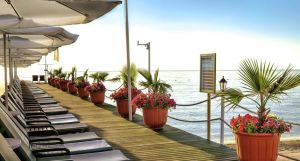 Gypsophila Club Marine