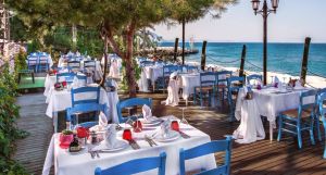 Gypsophila Club Marine