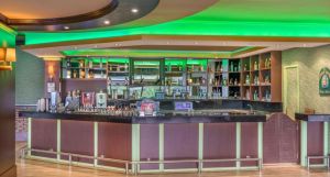 Green Max Hotel