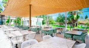 Orfeus Armin Hotel