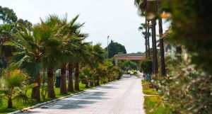 Süral Garden