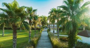 Asteria Family Resort Side