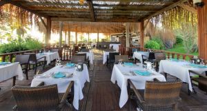 Flora Garden Beach Hotel - Adult Only