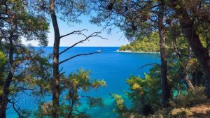 Vathi Cove Luxury Resort and Spa