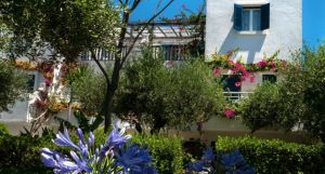 Villea Village
