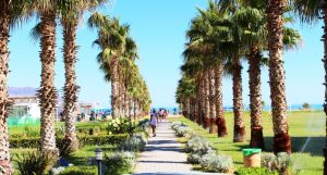 Delfina Tropic