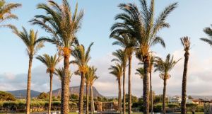 Amirandes - A Grecotel Resort to Live