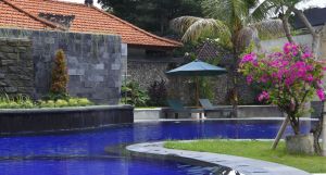 Vila Shanti