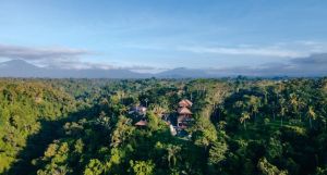 Alila Ubud