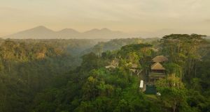Alila Ubud