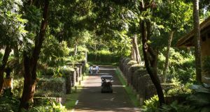 Alila Ubud