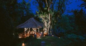 Alila Ubud