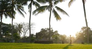 Maya Ubud Resort & Spa